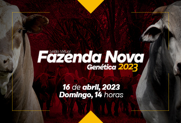 LEILÃO FAZENDA NOVA 2023 - GENÉTICA
